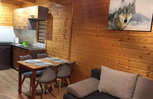 Solina - Jezioro Solińskie - Domki - Photo 6