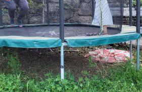 Trocito de Paraíso en la Sierra Espadán - Foto 18