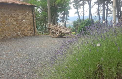 Casa Vacanze "L'Aione" - Foto 45