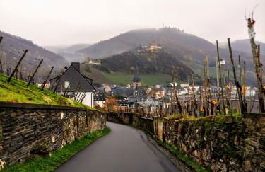 Ferienhaus Moselglück - Foto 82