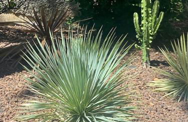 Studio 5 minutes Cannes et plages, terrasse, piscine - Foto 24