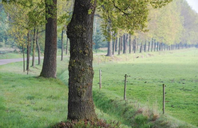 Cottage in Leenderbos Near Nature Reserve - Photo 30