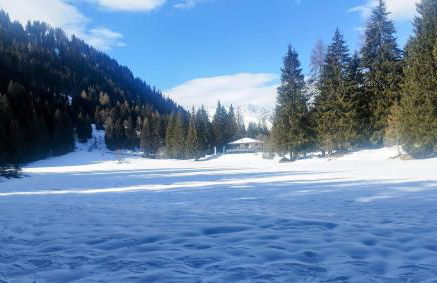 Appartamento Caprioli - Foto 22