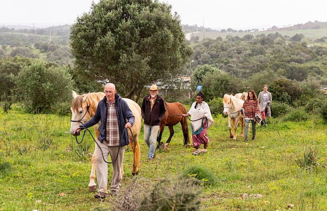 Santuario de Caballos: Un paseo por la naturaleza con Caballos Rescatados a tu lado - Foto 16