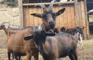 Apartamento Blascondo - Photo 22