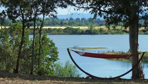 Locations "ChezChristine Aléria" à Aléria - Foto 5, Garden