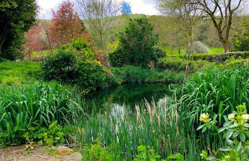 Tovey Lodge - Foto 36