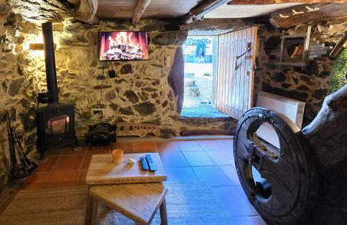 Cardenha das Formiguinhas - Foto 8