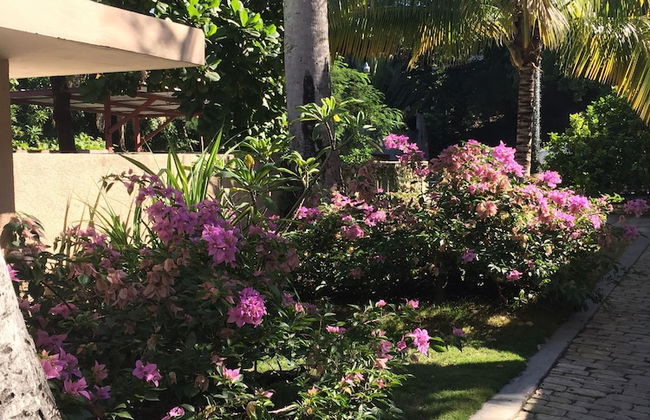 Palm Residence - Photo 16