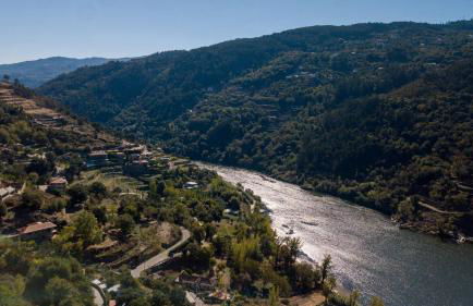 Casa Amarela - Foto 18