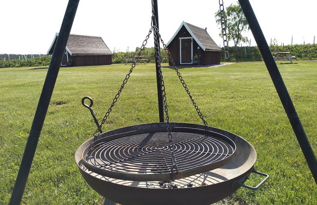 Macbeth's Hillock - Foto 27