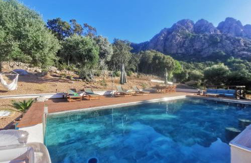 Appartement Jardin et Piscine Les anges du maquis location Corse-du-Sud - Foto 23