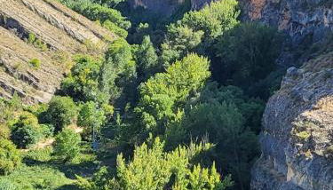 Casa Rural Reyes - Photo 4