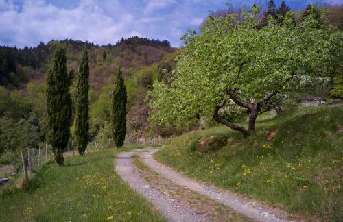 Agriturismo Giandriale - Photo 18