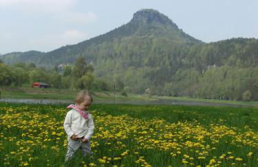 Ferienwohnungen "Gründelrast" - Foto 24