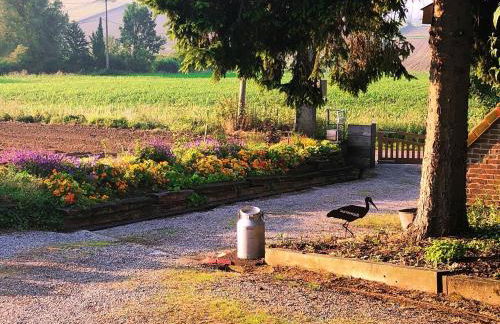 Au coin du loup, monts de Flandres, Zwarteberg - Foto 26