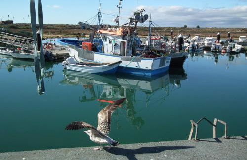 Vivenda Franco - Foto 45