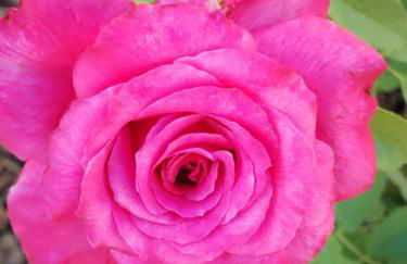 La Bastide de Claude - Foto 19