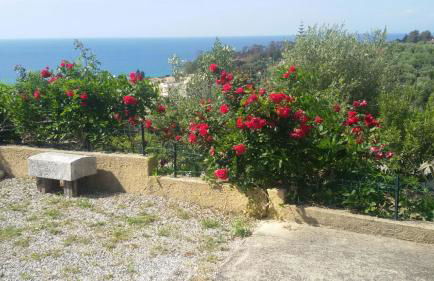 Baciati dal Sole - Foto 13