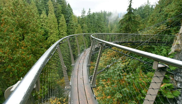Capilano Suspension Bridge Park Tickets - Photo 4