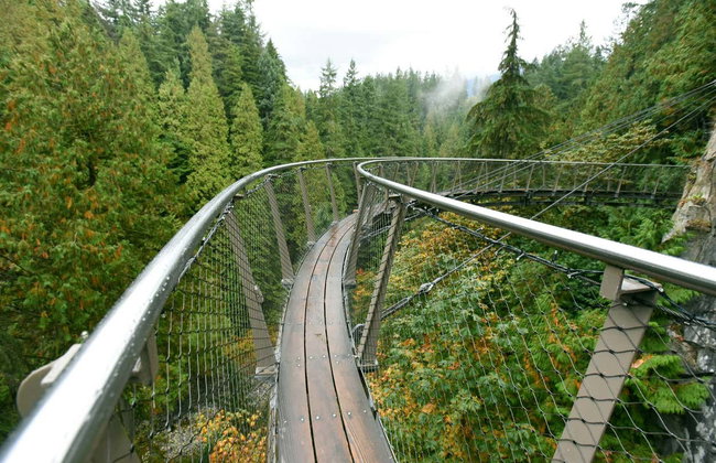 Capilano Suspension Bridge Park Tickets - Photo 4
