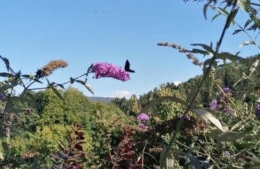 Apartament BOHO DOM Stronie Śląskie - Foto 28