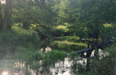 Ostoja Ldzań - Foto 22