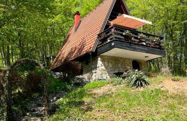 Mrežnički doživljaj - Foto 1