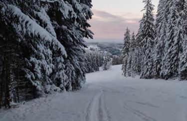 Two apartments in one house - Ferienhaus Matz - Foto 16