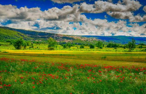 Villa Forest Idyll by Villas Guide - Foto 40