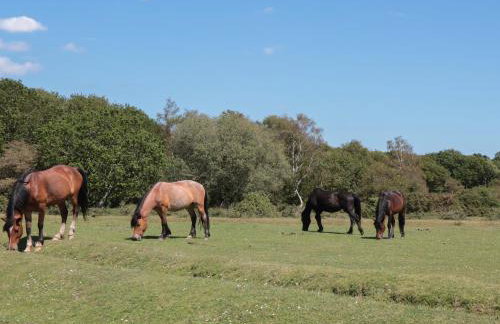 Brook Farm - Foto 49