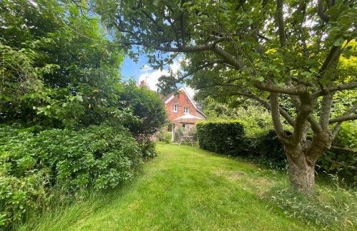 Vane Cottage - Lewes - Photo 2