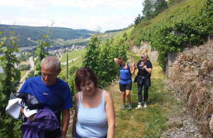 Ferienwohnung Rivaner - Foto 30