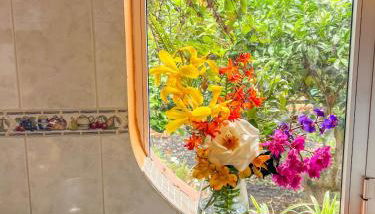 Canarian Cottage with terrace surrounded by garden - Alisios - Foto 4