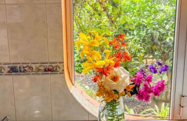 Canarian Cottage with terrace surrounded by garden - Alisios - Foto 4