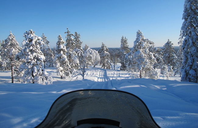 Tree Hotel - Foto 36