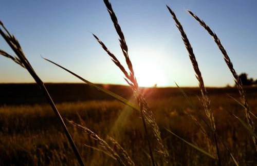 Domek w polu - Foto 36