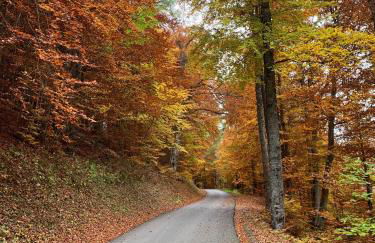 Gîtes les COMBES - Foto 22
