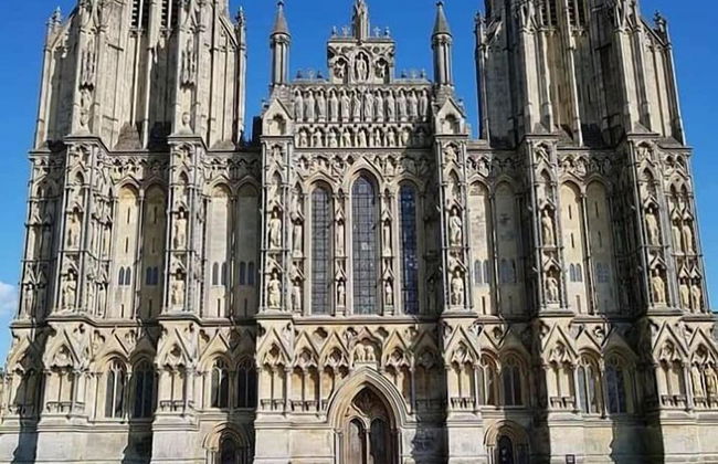 Pear Tree Cottages - Foto 24