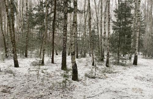 Na Wrzosowej, domy z bala PREMIUM, blisko Suntago - Photo 17