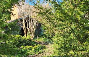 Magisches Wachstein - Foto 75