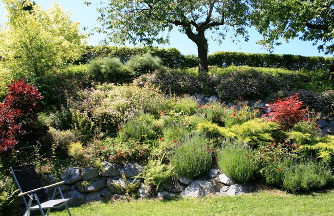 Holiday Home in Willingen Near Ski Area - Photo 11