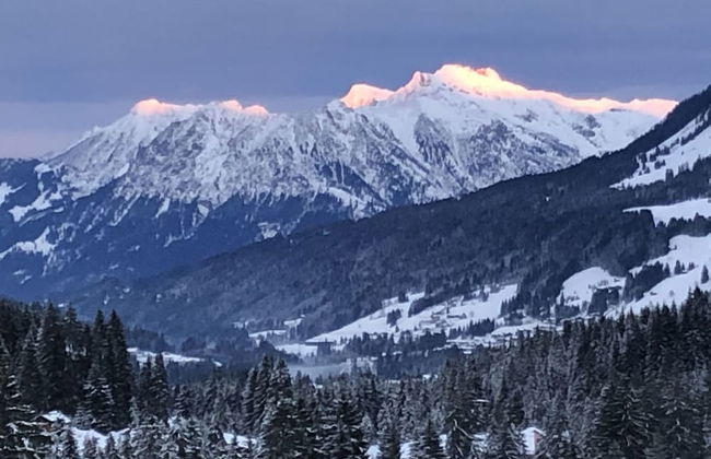 Bergheim Waeldele - Foto 30