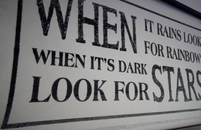 Stanefield House Motherwell - Photo 31