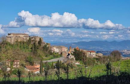 Podere del Papa - Photo 50