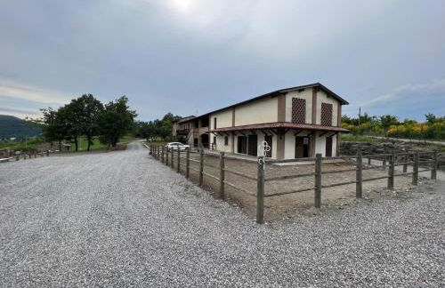 Agriturismo cergallina - Photo 14