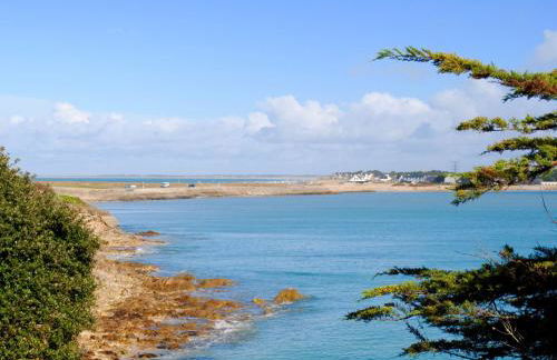 Domaine de la Pointe de Kerhostin Villa Escale - Foto 43