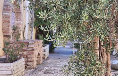 Beautiful Alamedas, un santuario donde el tiempo se detiene - Foto 144