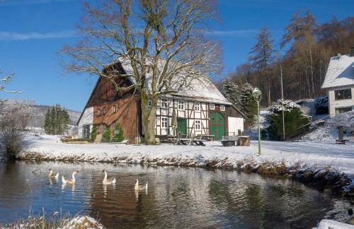 Suffelmühle - Foto 19