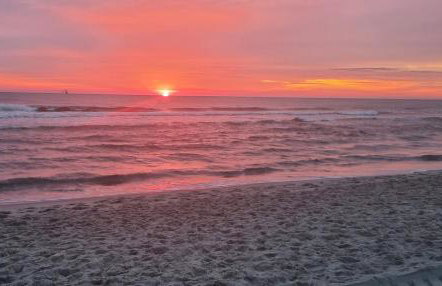 Nowe apartamenty Kuźnica Hel - Foto 38